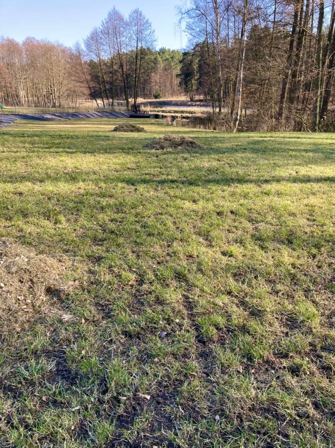 Ogród - Słoneczko Piła